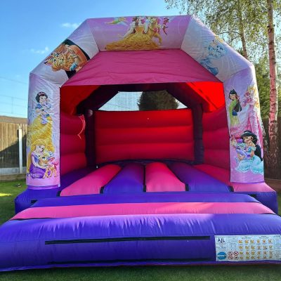 Princess bouncy castle